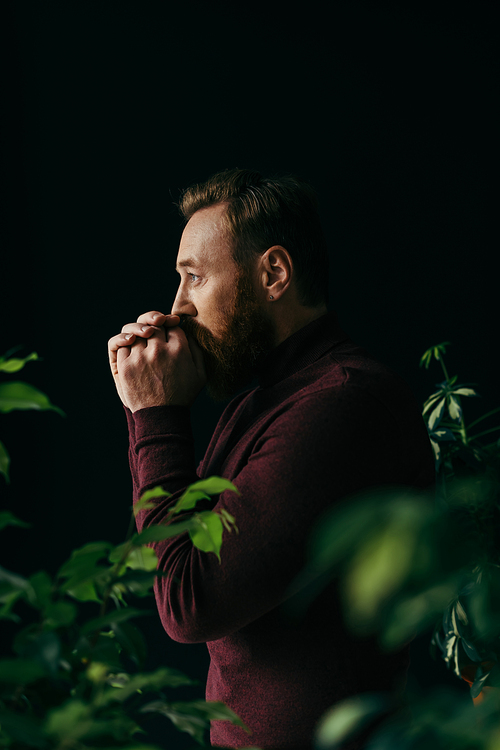 Side view of stylish man in jumper holding hands near mouth while standing between plants isolated on black