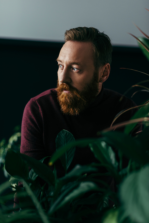 Fashionable man in burgundy sweater looking away near plants on black background