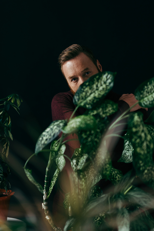 Man in jumper looking at camera behind green plants isolated on black