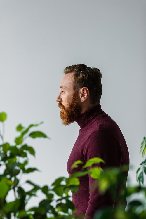 Side view of bearded model looking away near blurred plants isolated on grey