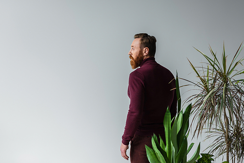 Side view of stylish man in sweater standing near plants isolated on grey with copy space