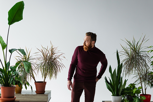 Fashionable man in jumper holding hand in pocket of pants near plants isolated on grey