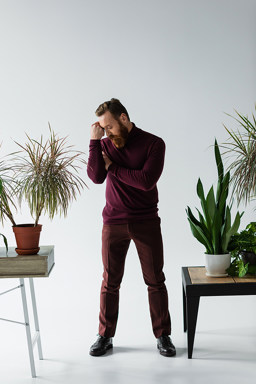 Full length of stylish bearded man posing near plants on grey background