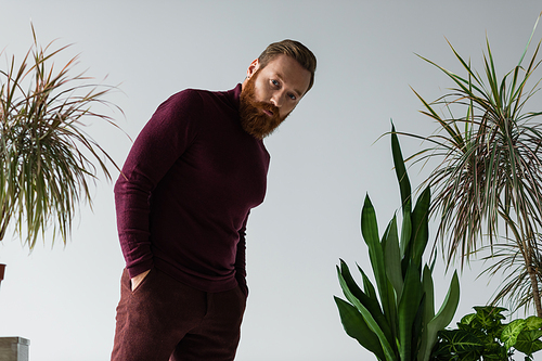 bearded man standing with hands in pockets near different plants isolated on grey