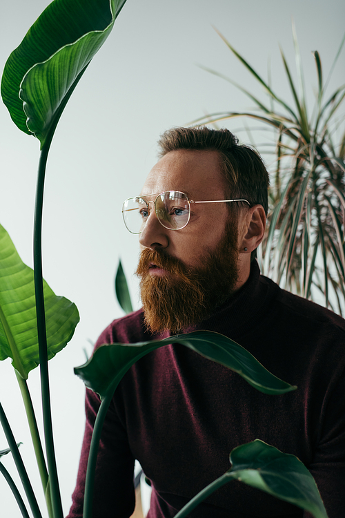 bearded man in eyeglasses standing near green tropical plants on grey