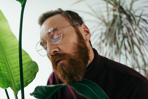 bearded man in eyeglasses posing with closed eyes near green plants on grey