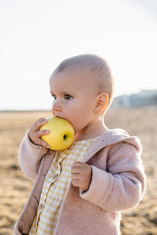 Toddler girl holding ripe apple on beach in Treviso