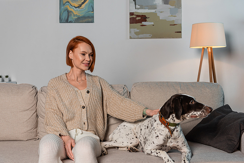 Smiling red haired woman petting dalmatian dog while sitting on couch in living room