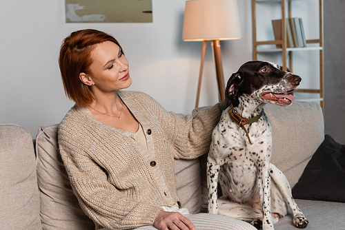 Redhead woman in cardigan looking at dalmatian dog on couch