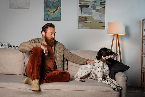 Bearded man looking at dalmatian dog on couch at home
