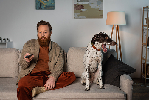 Bearded man watching tv near Dalmatian dog on couch