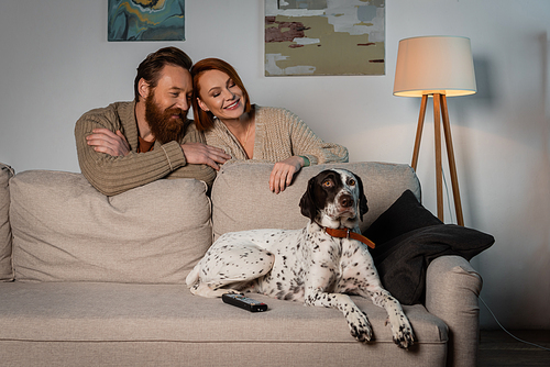 Positive couple looking at dalmatian dog near remote controller n couch at home