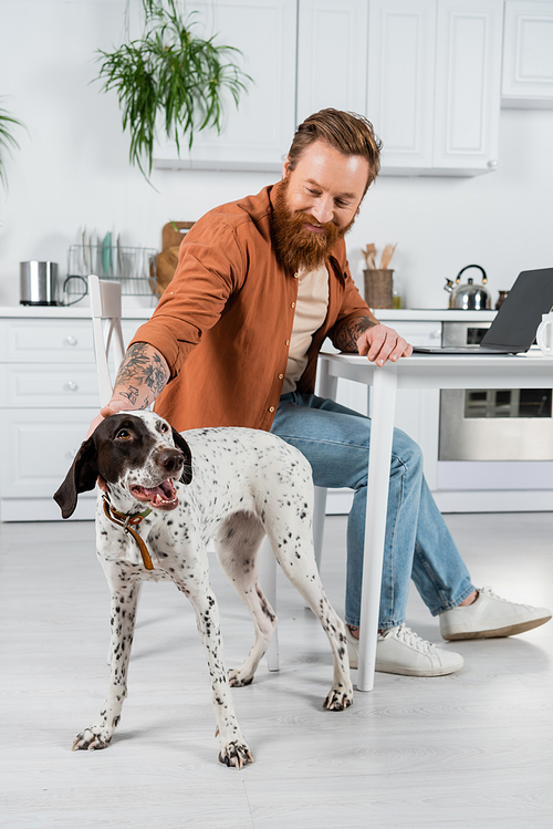 Positive tattooed man petting dalmatian dog near laptop and cup in kitchen