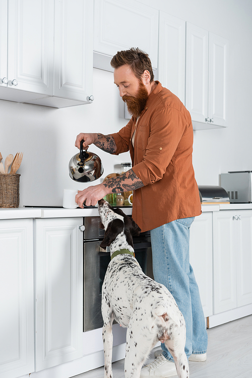 Bearded man pouring boiled water in cup with tea near dalmatian dog in kitchen