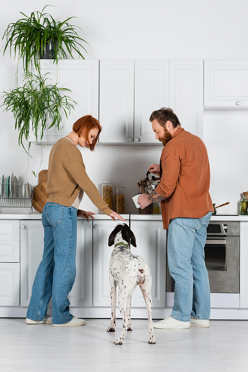 Side view of woman petting dalmatian dog while husband making tea in kitchen