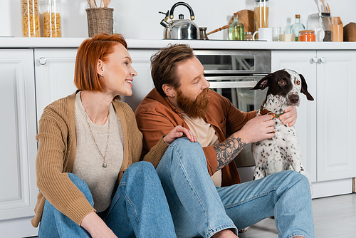 Smiling adult couple looking at dalmatian dog with collar in kitchen
