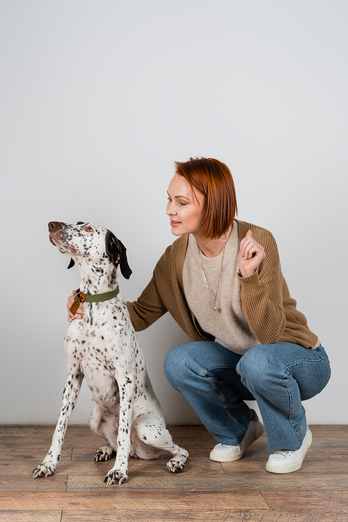 Redhead woman in casual clothes petting dalmatian dog at home