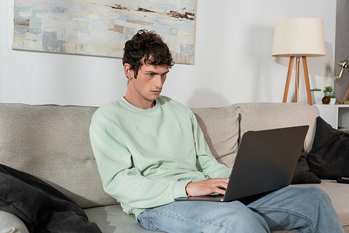 curly young man using laptop while sitting on couch in living room