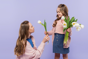 smiling woman receiving tulip and looking at happy daughter isolated on purple
