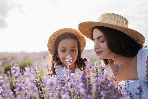 brunette woman in straw hat smelling lavender near woman in meadow