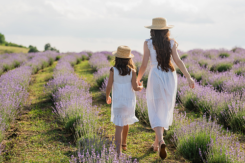 back view of mom and daughter holding hands while walking in lavender meadow