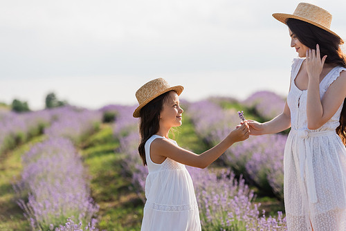 side view of girl in straw hats giving lavender flowers to mother