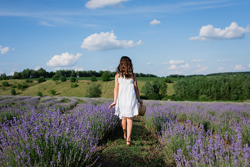 back view of brunette girl in white dress walking along field with flowering lavender