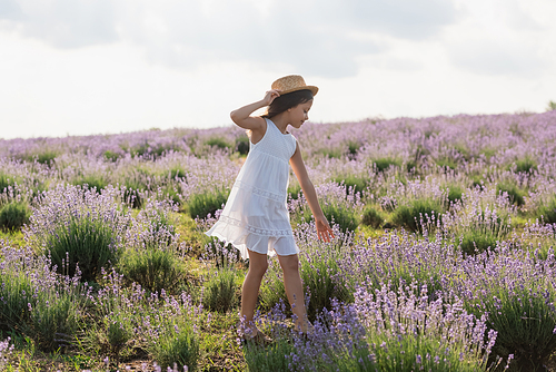 full length of kid in straw hat and white dress walking in lavender field
