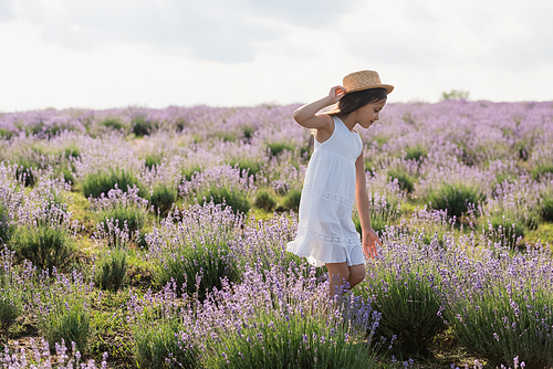 child in straw hat and summer dress walking in lavender field