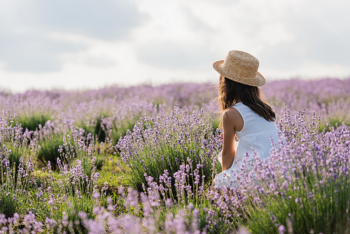 back view of girl in straw hat and white dress sitting in meadow with lavender