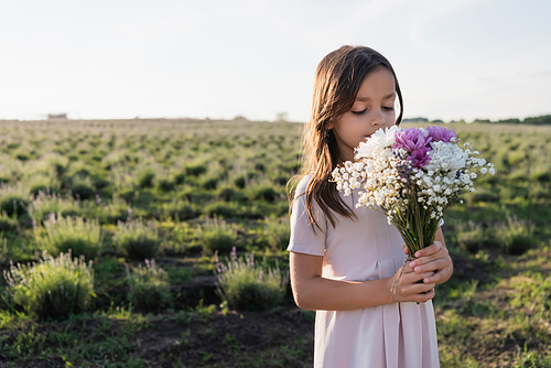 brunette girl in white dress smelling aromatic bouquet in meadow