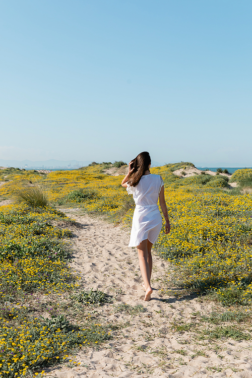 Back view of barefoot woman in dress walking on sand near flowers on beach