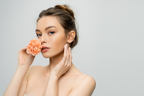 charming woman with perfect skin and bare shoulders holding carnation flower near face isolated on grey