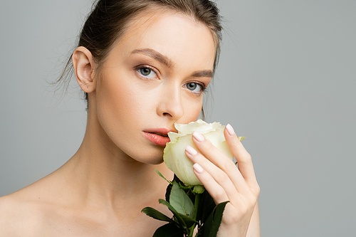 pretty woman with bare shoulders and natural makeup holding ivory rose and looking at camera isolated on grey