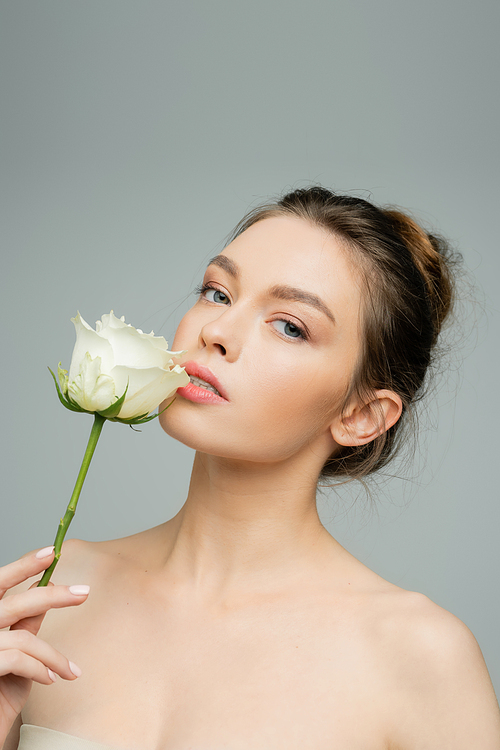 charming woman with naked shoulders and natural makeup holding white rose near lips isolated on grey