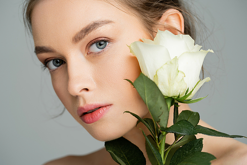 portrait of pretty woman with natural makeup on perfect face looking at camera near white rose isolated on grey