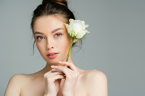 young woman with naked shoulders holding white rose and looking at camera isolated on grey