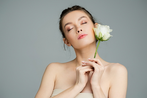 young woman with bare shoulders and closed eyes holding white rose isolated on grey