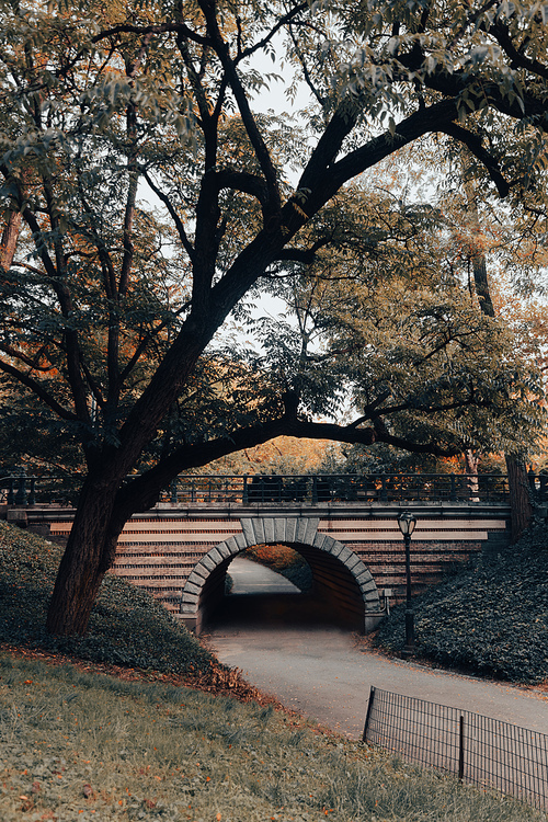 pedestrian bridge and walkway under green trees in Central Park of New York City