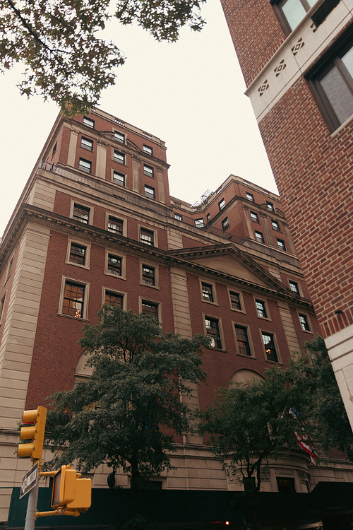 low angle view of building near trees and yellow traffic light on street of New York City