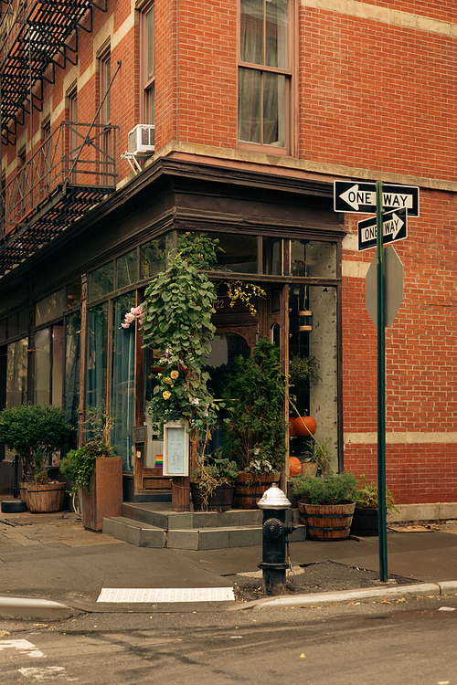 red brick building with green potted plants near shop with showcases on street with road signs in New York City