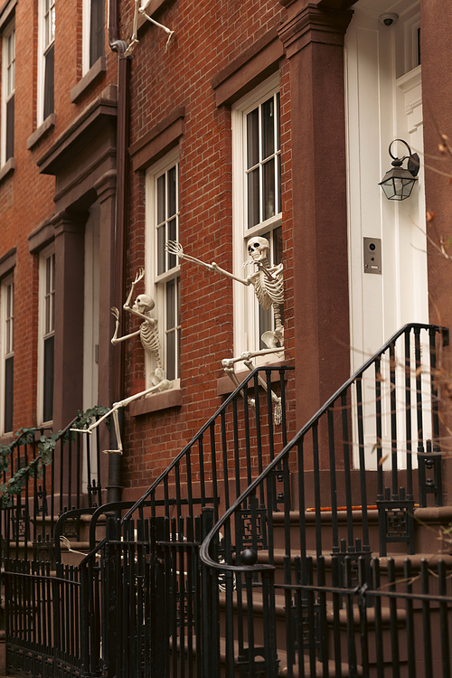 house with Halloween skeletons on white windows in Brooklyn Height district of New York City