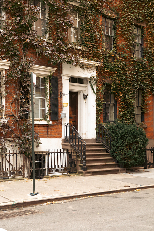dwelling house with green ivy and stairs near white entrance on street of New York City