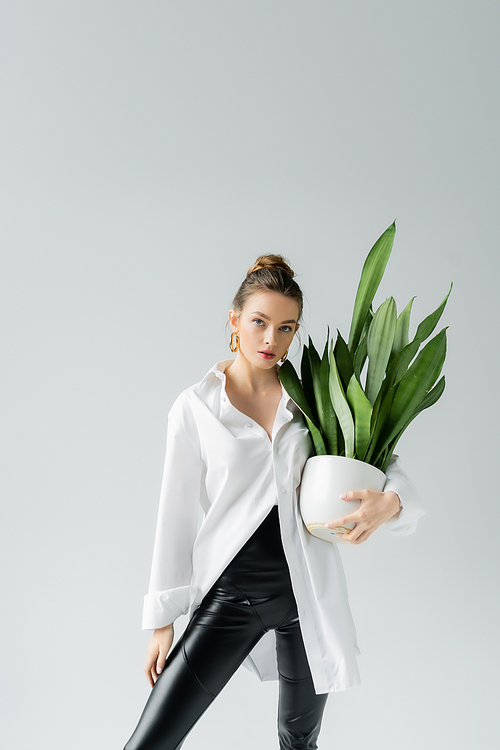 young woman in white oversize shirt holding flowerpot with exotic plant isolated on grey