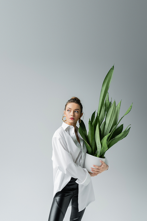 stylish woman in white shirt standing with green potted plant and looking away isolated on grey