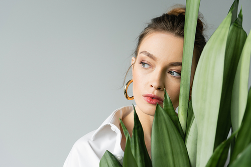 portrait of young woman with natural makeup looking away near leaves of exotic plant isolated on grey