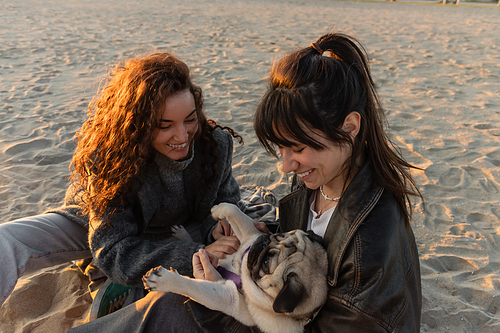 Cheerful women playing with pug dog on beach in Spain