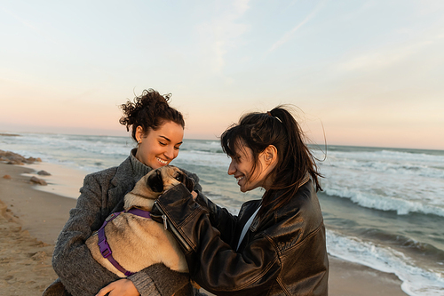 Cheerful woman playing with pug dog near curly friend on beach