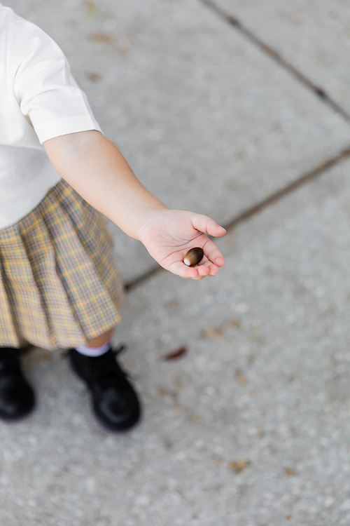 top view of cropped toddler girl in skirt holding acorn and standing on street