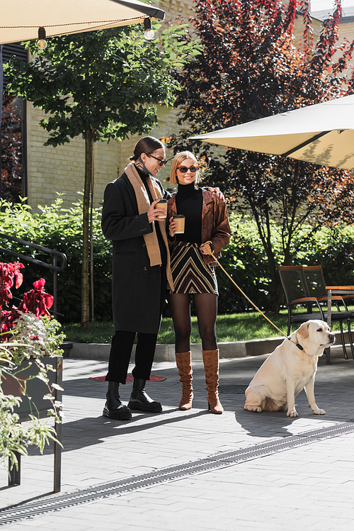 full length of stylish couple in sunglasses holding paper cups while walking with labrador near outdoor cafe